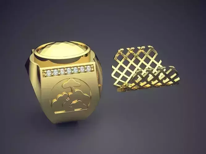 Thick Ring With Net CAD 5413