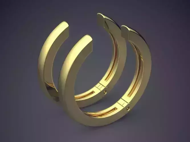 Clipping Circle Earrings CAD 5123