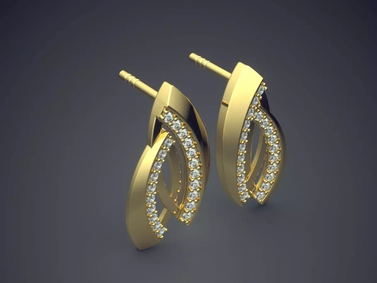 Earrings Wtih Tiny Diamonds On The Side CAD 5054 3D print model