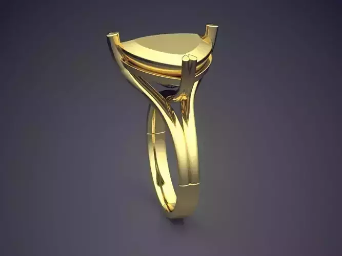 Ring CAD-4924