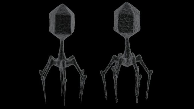 Bacteriophage 2 pack 3D model