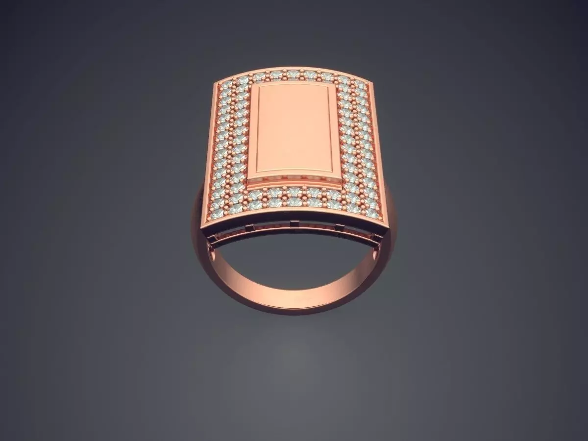 Ring CAD-4000 3D print model_2