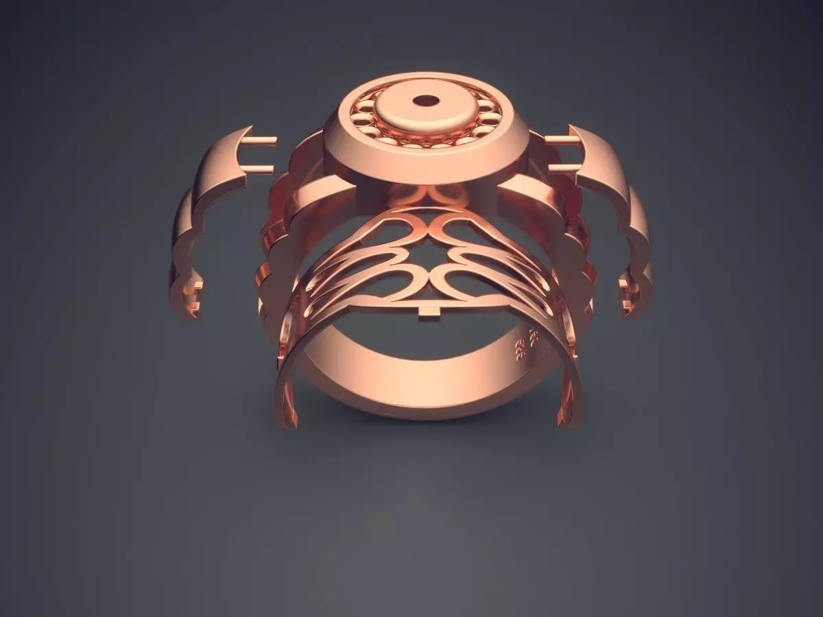 Ring CAD-3865 3D print model_2