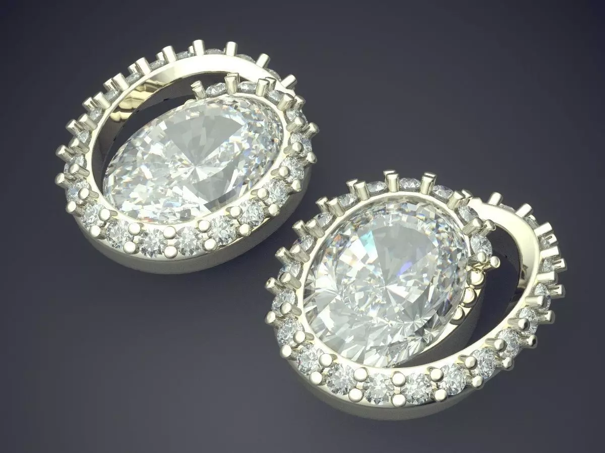 Circle Earrings With Diamond Inside CAD 3791 3D print model_1