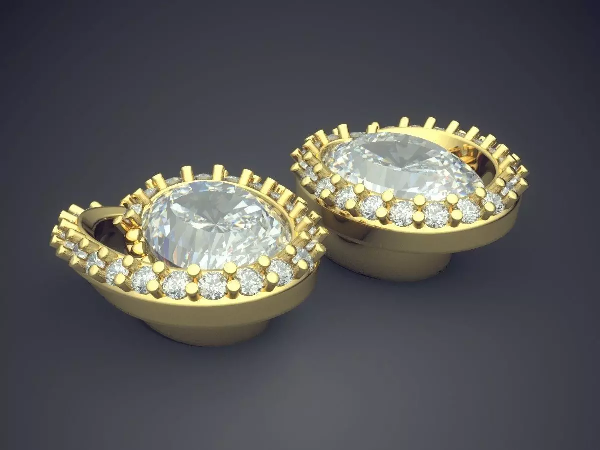 Circle Earrings With Diamond Inside CAD 3791 3D print model_0