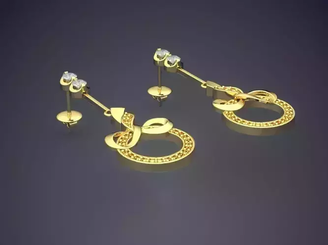 Simple Earrings With Ornaments CAD 3722 3D print model