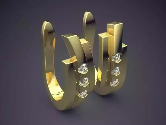 Earrings With Unique Design CAD 3629