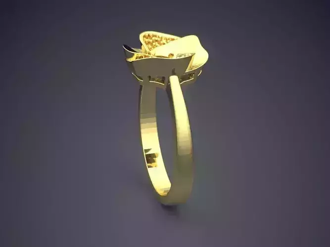 Ring CAD-3204
