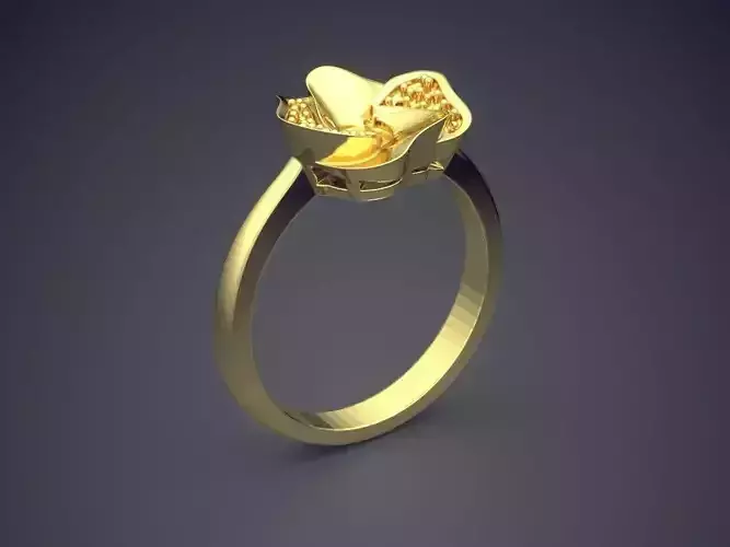 Ring CAD-3204 3D print model