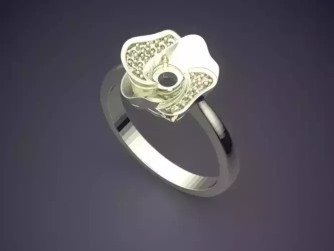 Ring CAD-3204