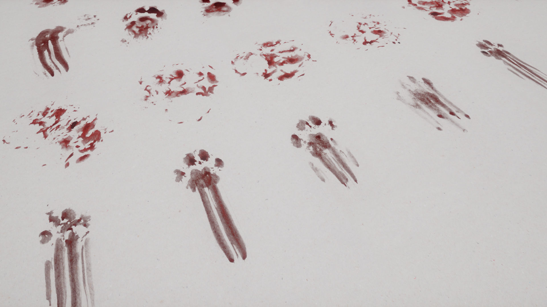 Blood-Miscellaneous group of bloody hand prints Texture_6