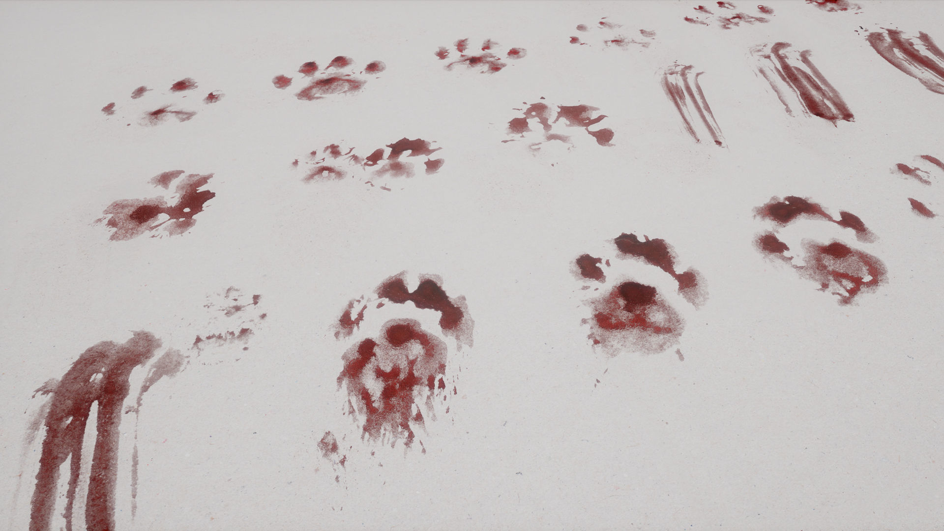 Blood-Miscellaneous group of bloody hand prints Texture_5