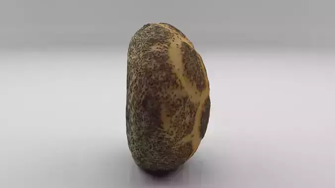 Mohnbroetchen - 3D scanned Low Poly asset