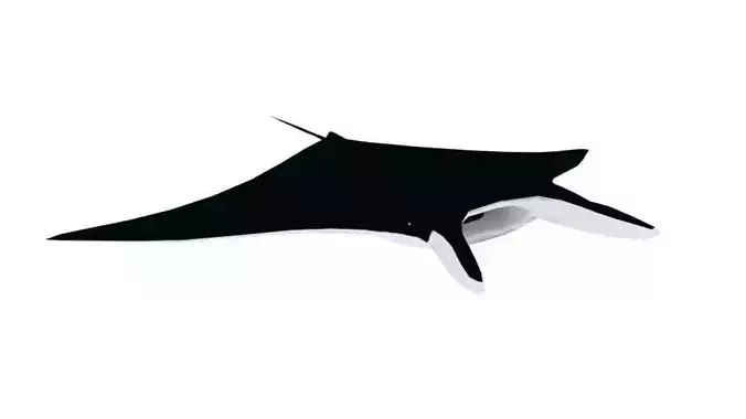Low Poly Manta Ray Low-poly 3D model
