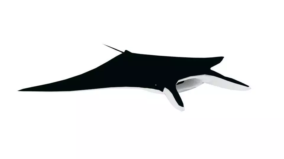 Low Poly Manta Ray Low-poly 3D model_0