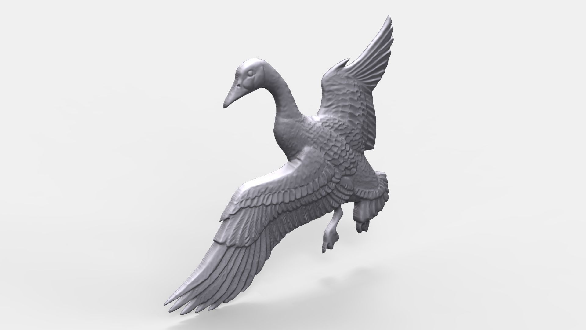 Canadian goose bas relief  3D print model_1
