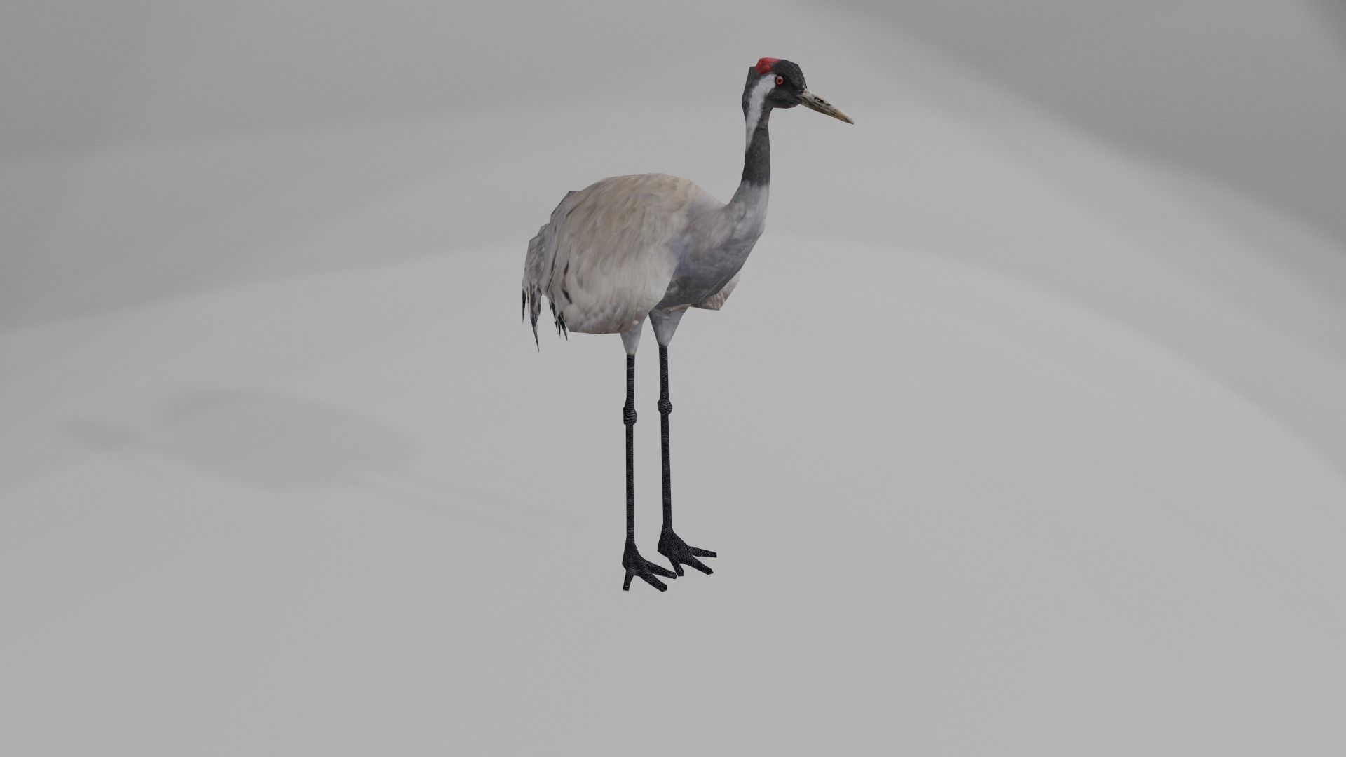 Crane package Low-poly 3D model_10