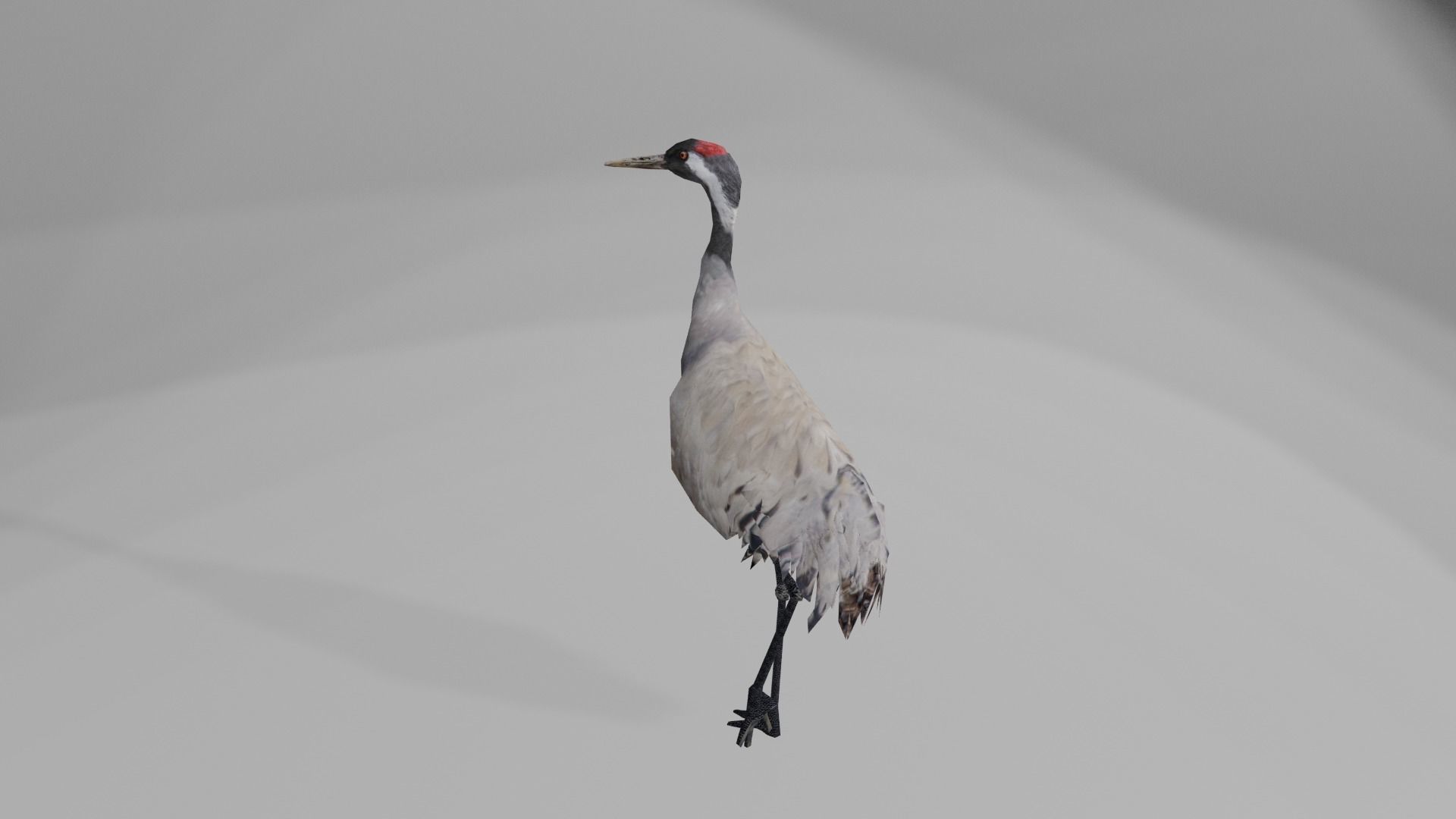 Crane package Low-poly 3D model_5