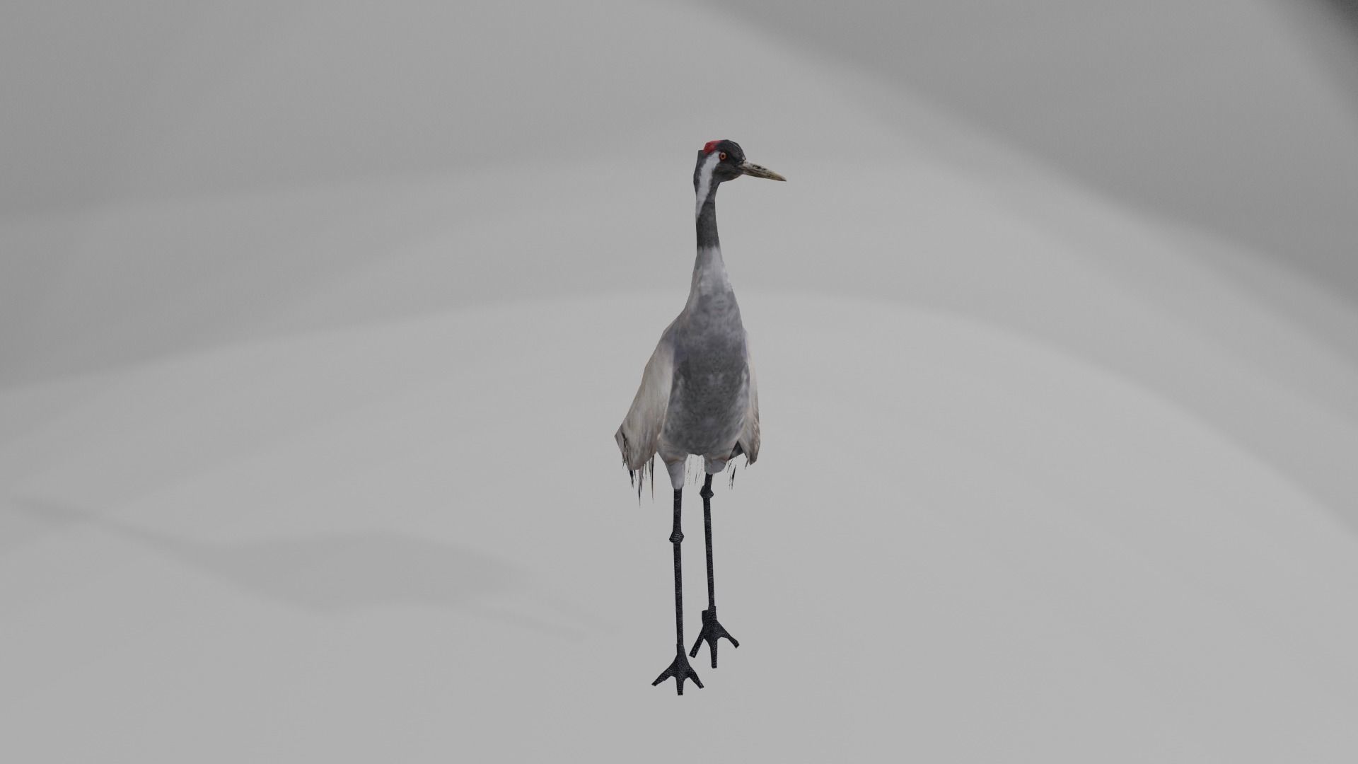 Crane package Low-poly 3D model_6