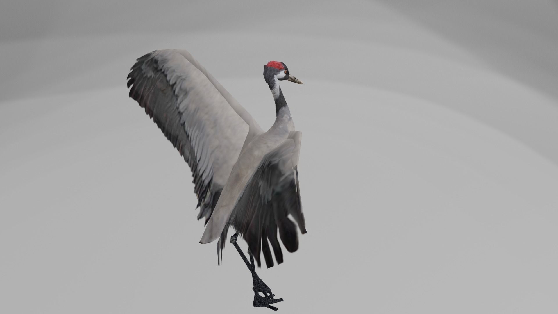 Crane package Low-poly 3D model_2