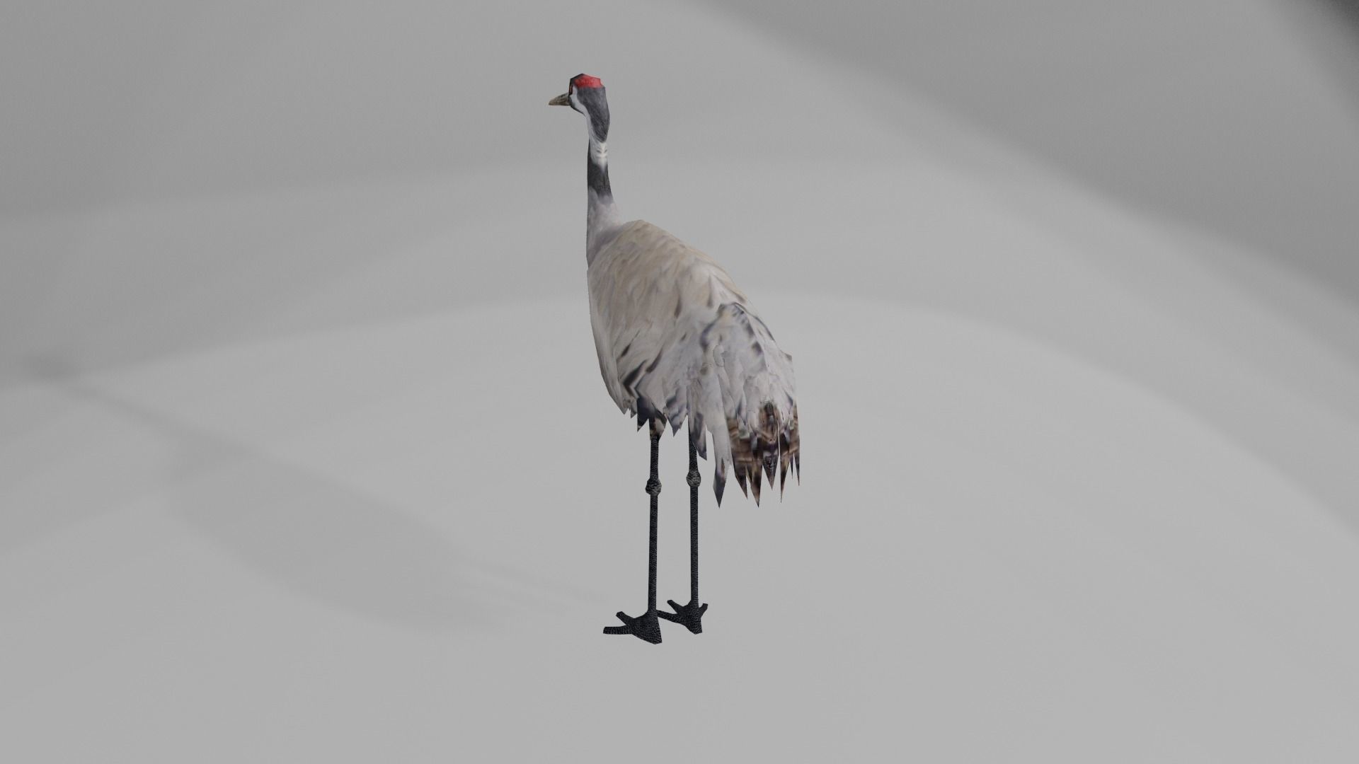 Crane package Low-poly 3D model_11
