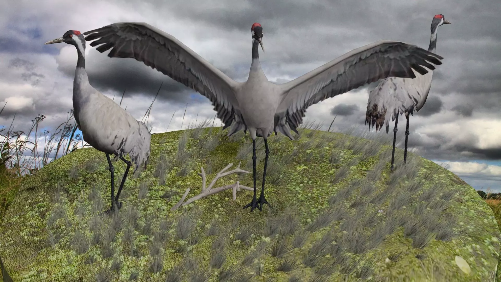 Crane package Low-poly 3D model_0