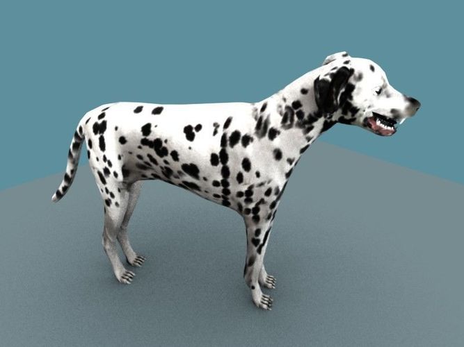 DALMATIAN DOG  Low-poly 3D model