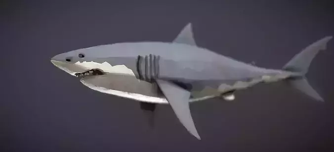 low poly animation shark Low-poly 3D model