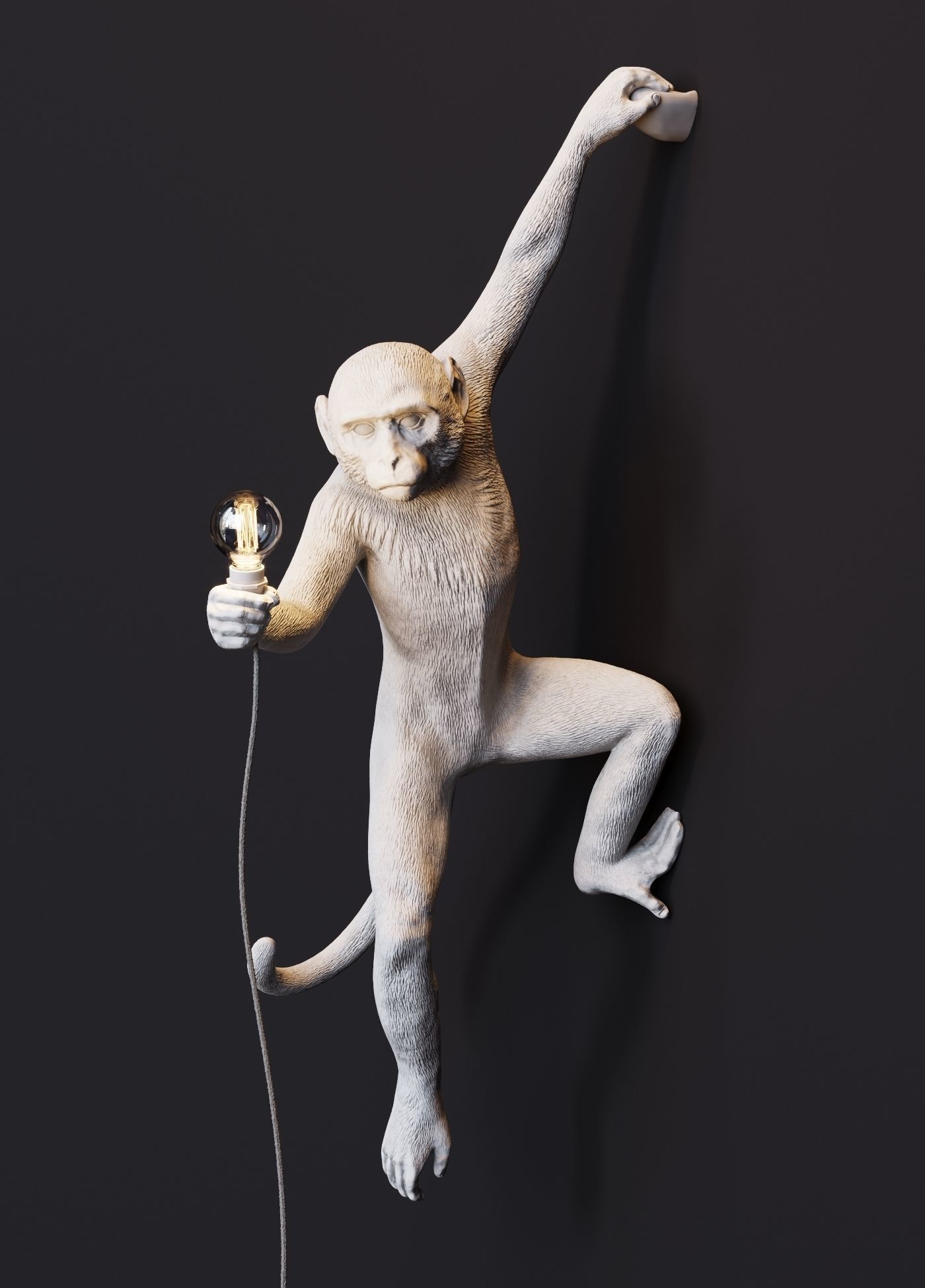 The Monkey Lamp Hanging Left Version  Low and High poly Low-poly 3D model_2