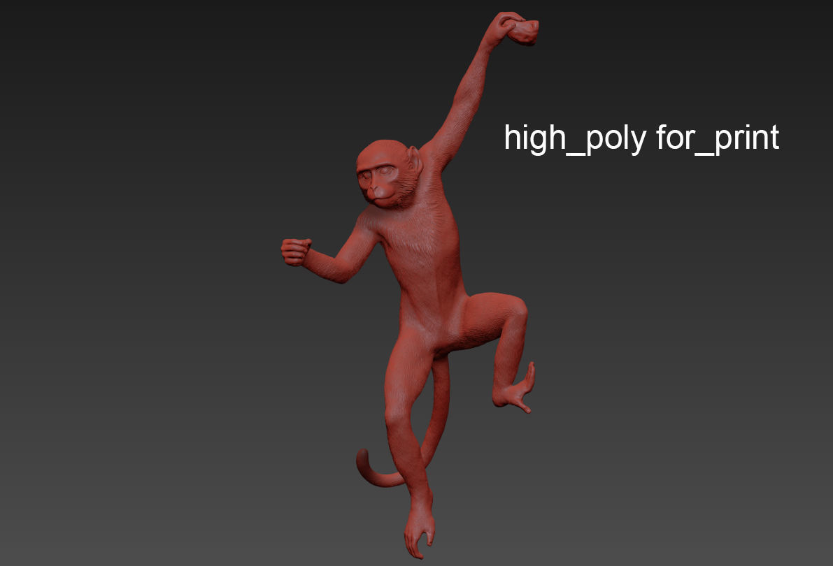 The Monkey Lamp Hanging Left Version  Low and High poly Low-poly 3D model_3