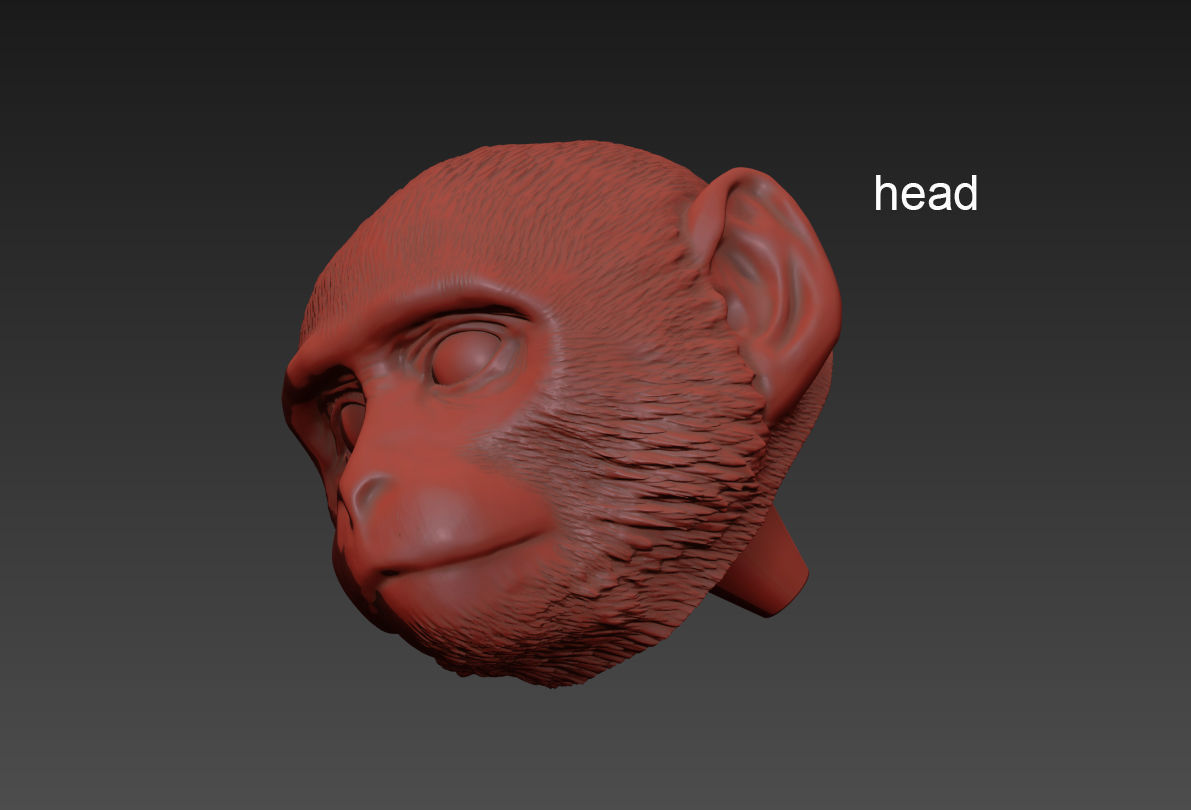 The Monkey Lamp Hanging Left Version  Low and High poly Low-poly 3D model_4