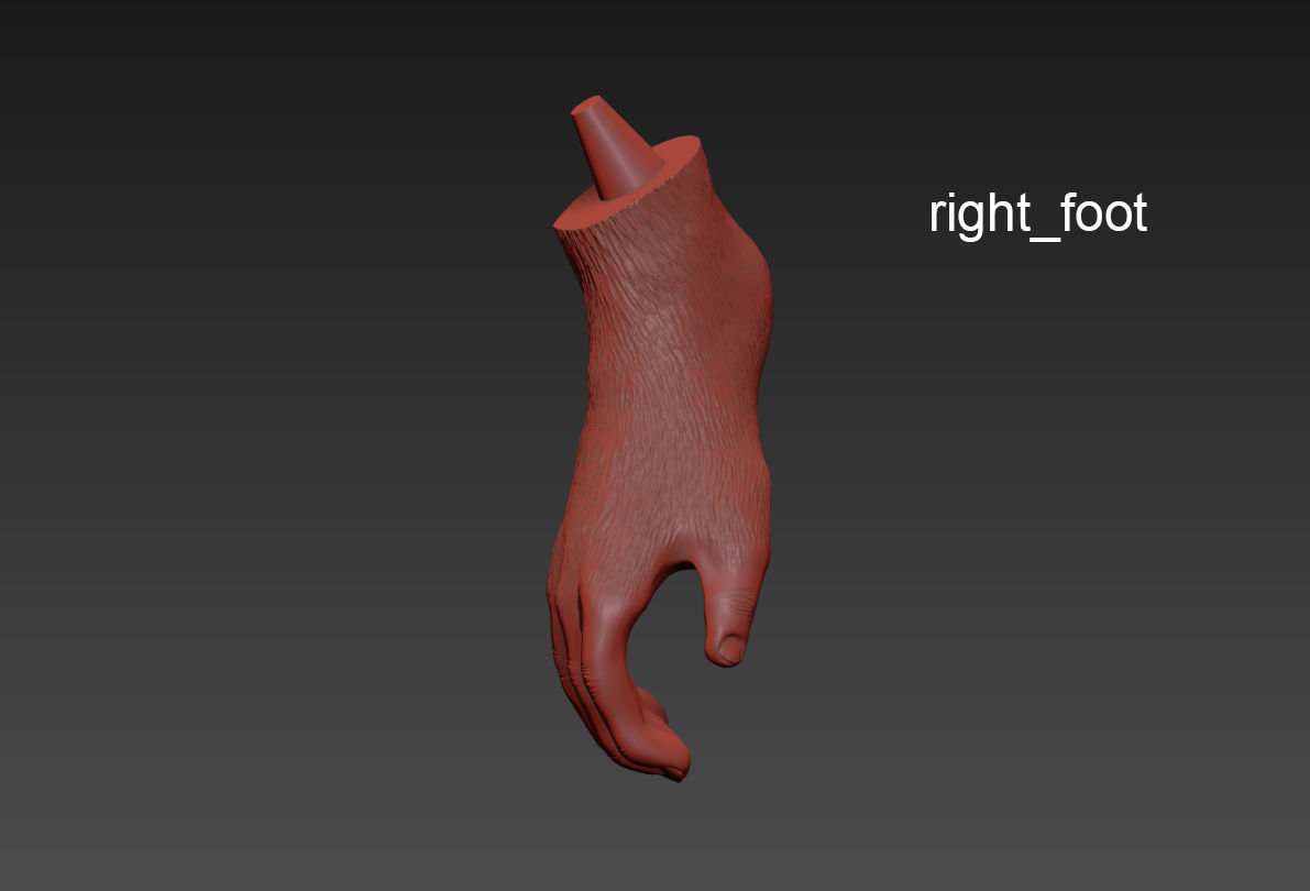 The Monkey Lamp Hanging Left Version  Low and High poly Low-poly 3D model_13