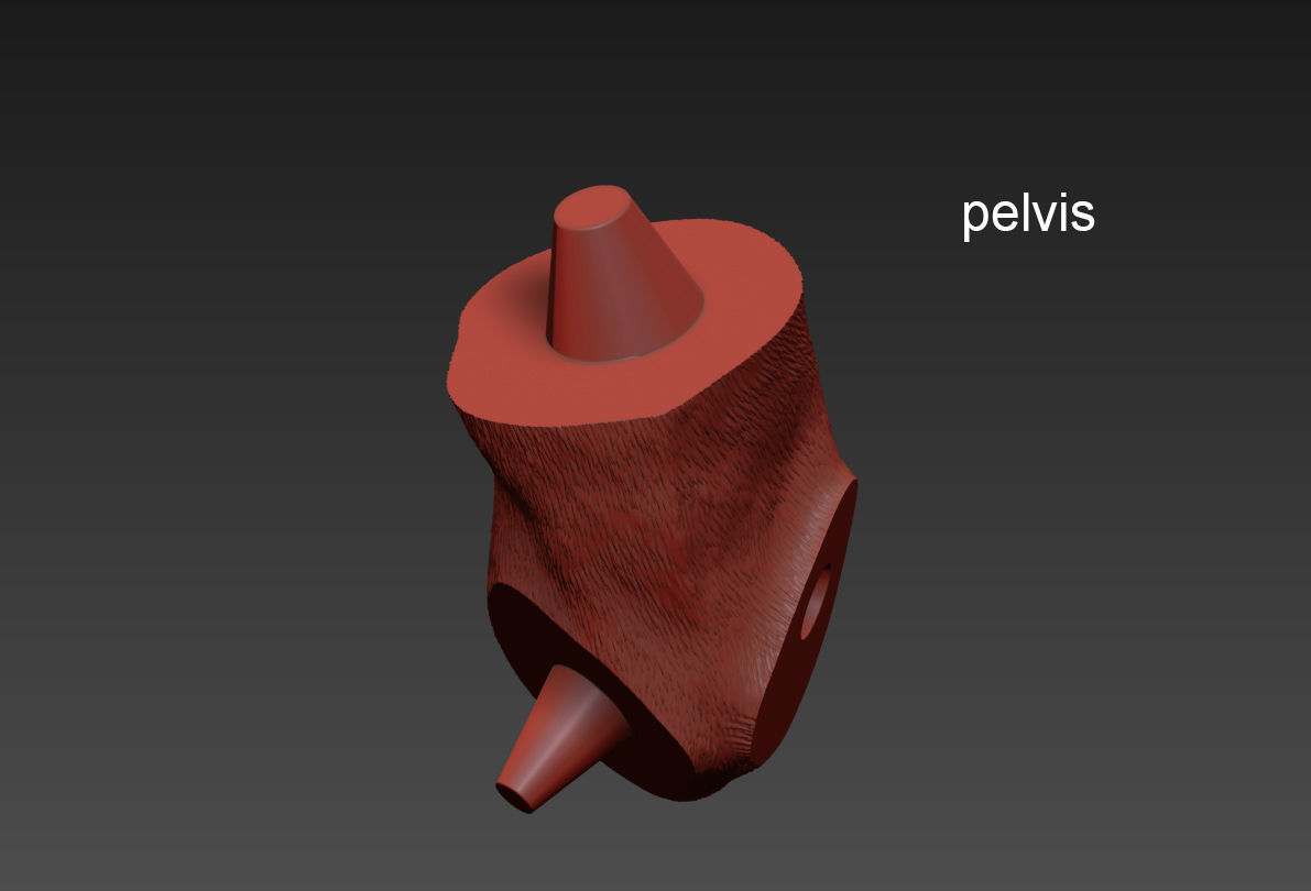 The Monkey Lamp Hanging Left Version  Low and High poly Low-poly 3D model_12