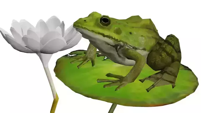 Low poly Green frog