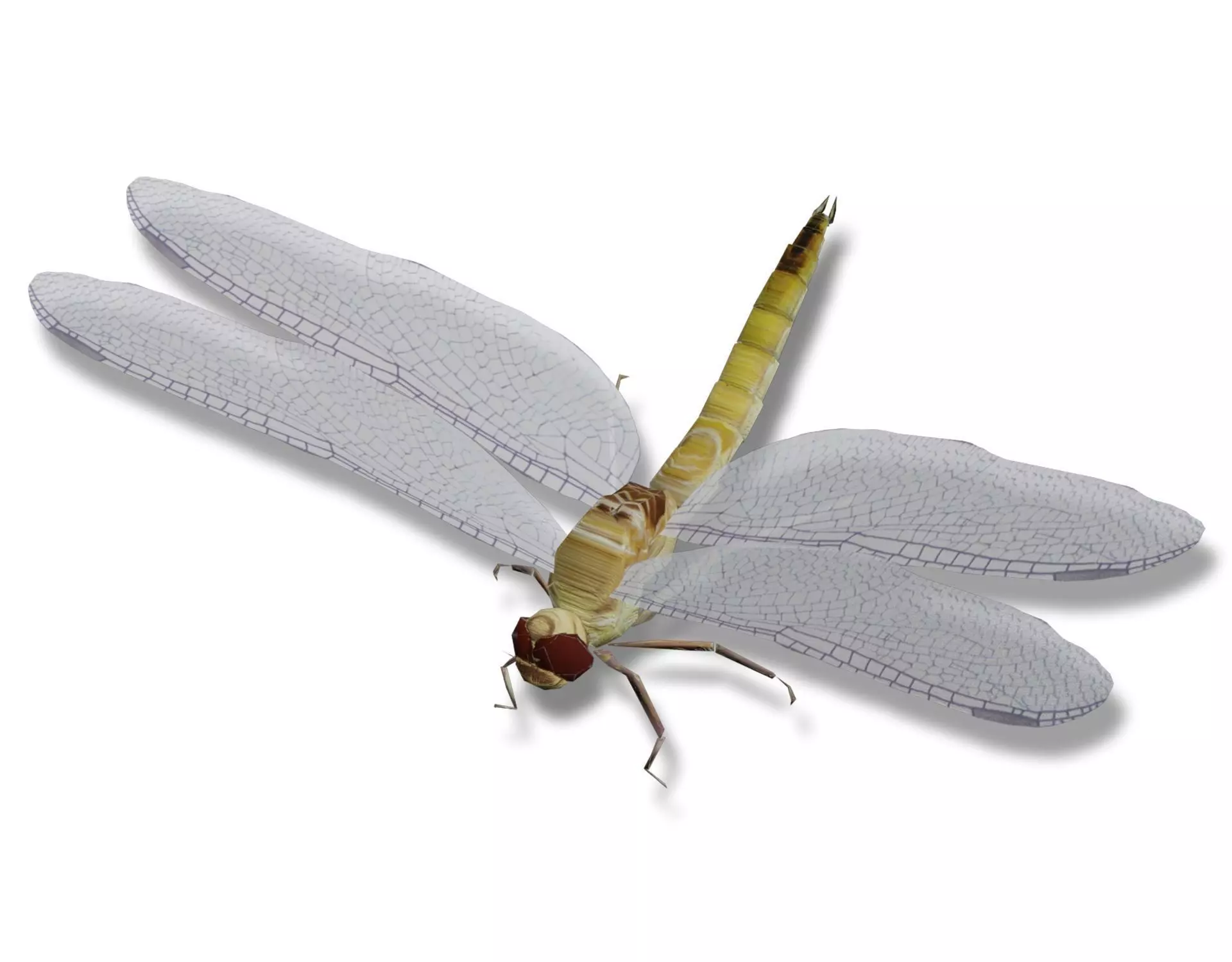 Low poly dragonfly Low-poly 3D model_0
