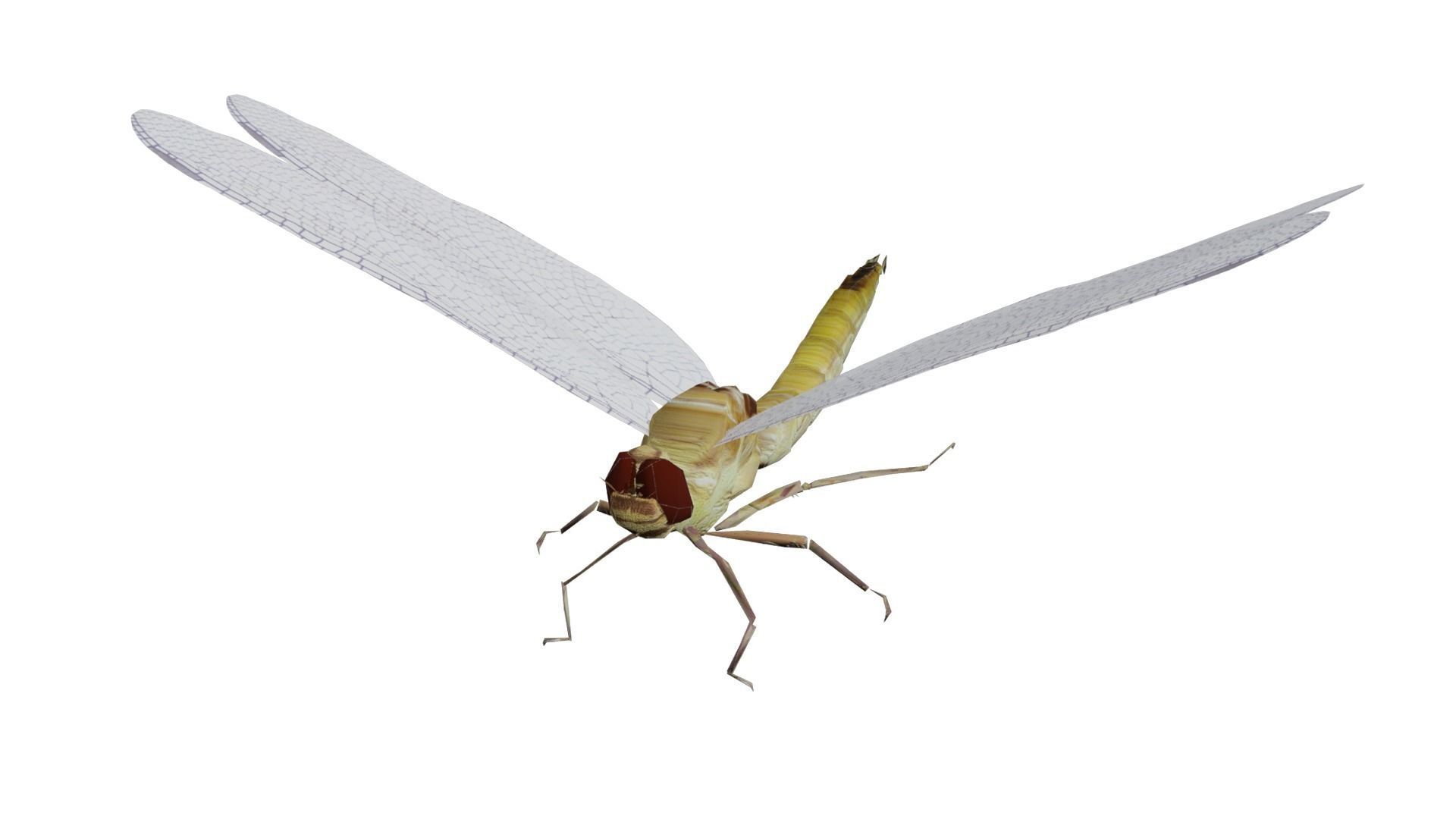 Low poly dragonfly Low-poly 3D model_1