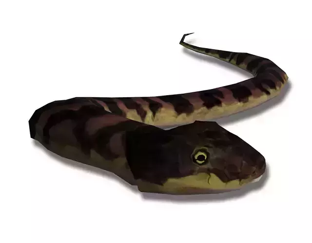 Low poly grass-snake snake Low-poly 3D model