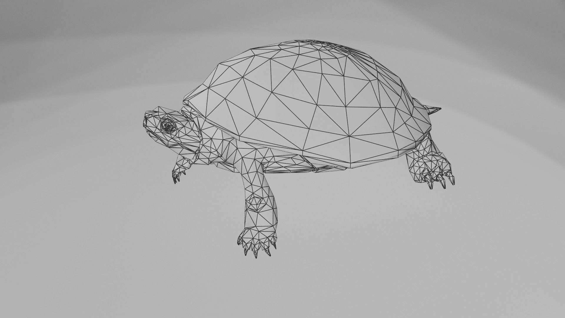 European pond turtle Low-poly 3D model_6