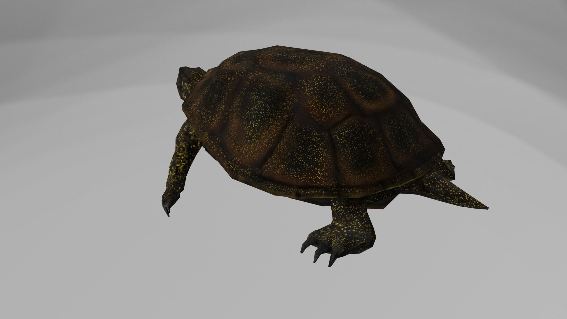 European pond turtle Low-poly 3D model_2