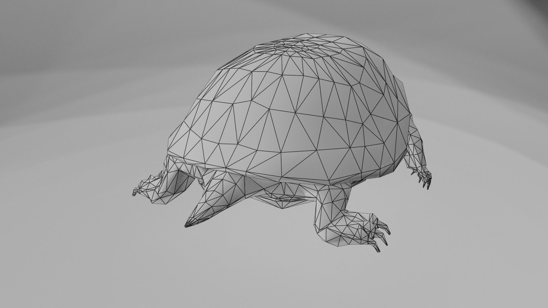 European pond turtle Low-poly 3D model_5