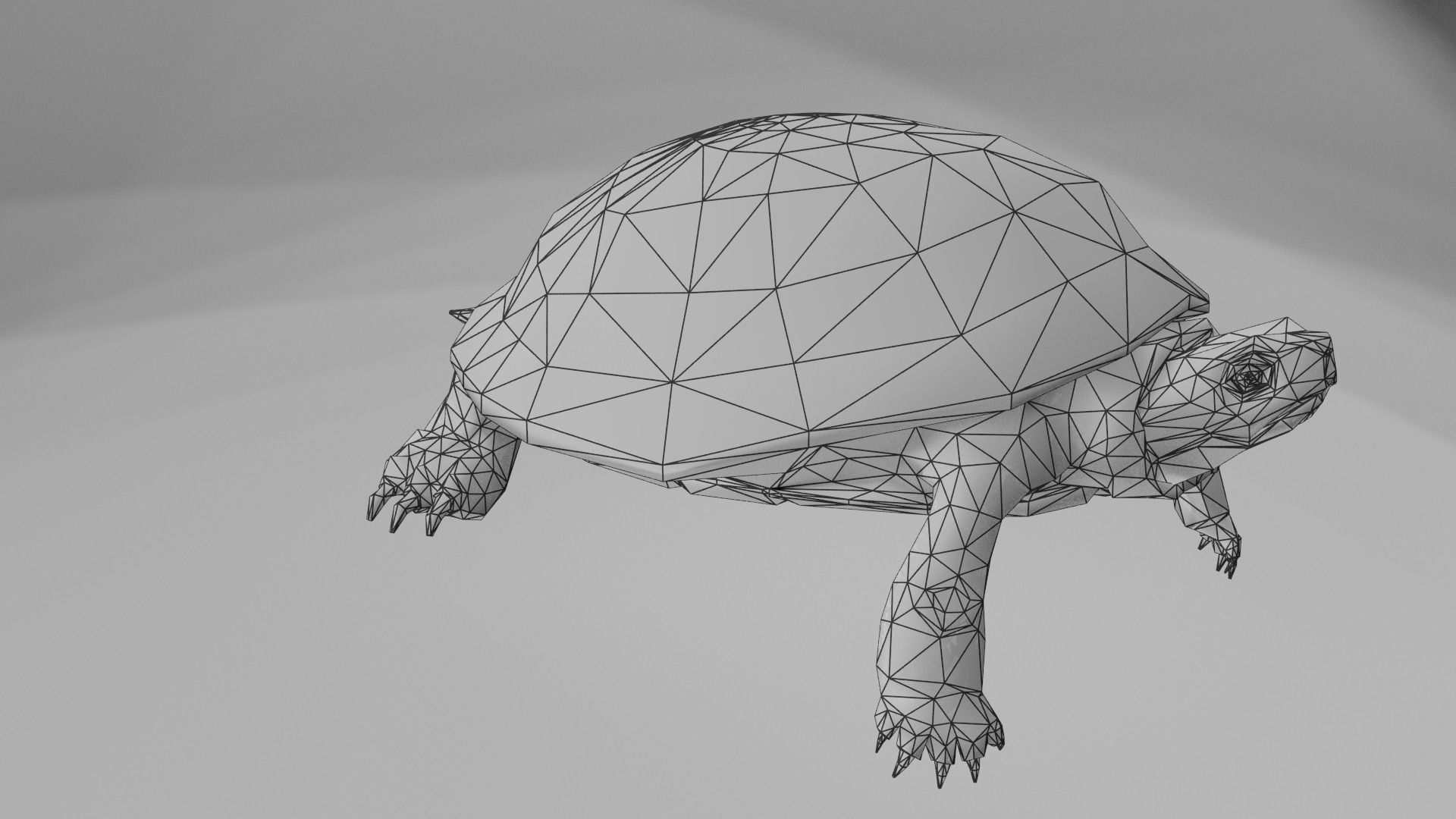 European pond turtle Low-poly 3D model_7