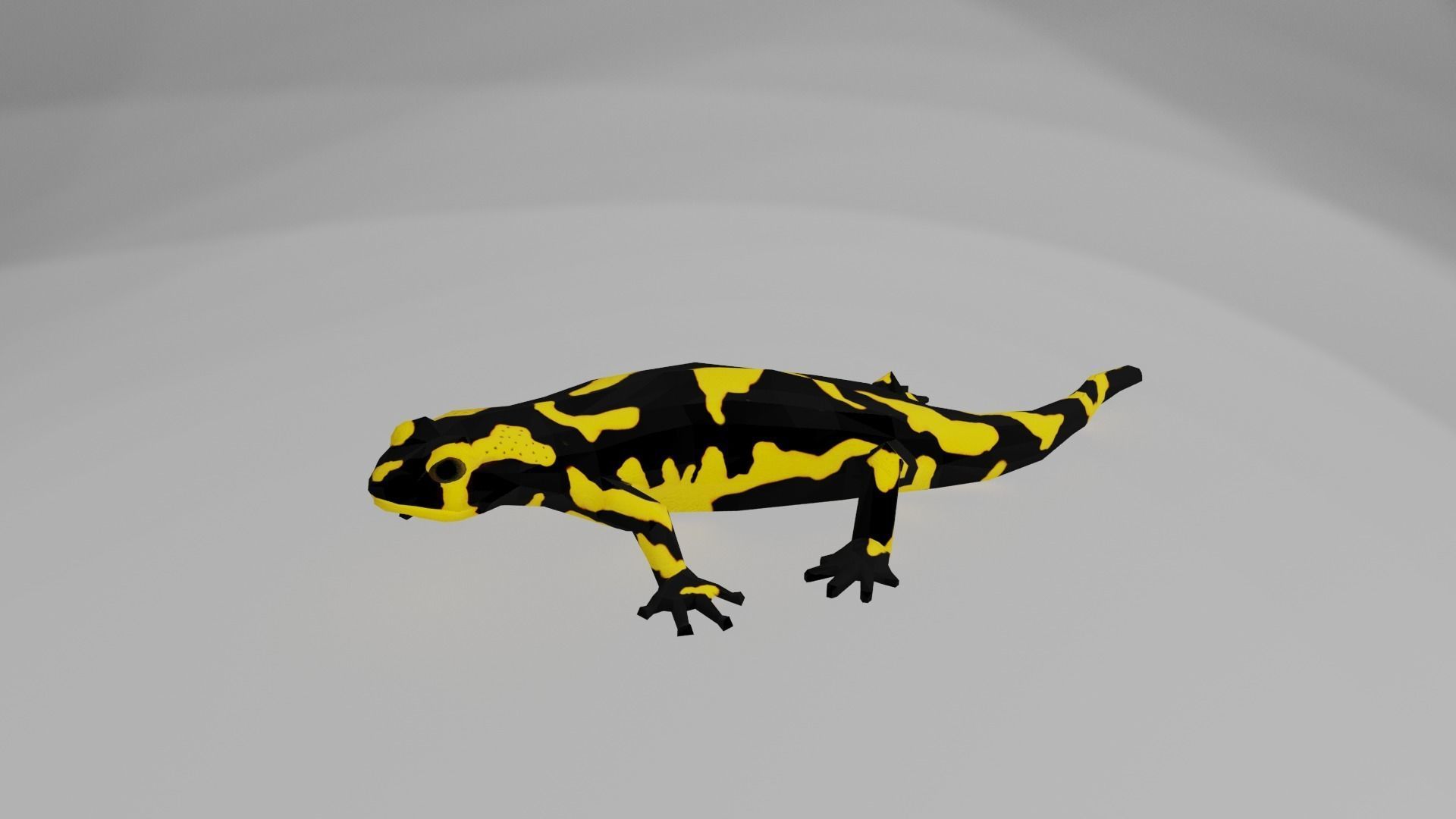 Low poly salamander lizard Low-poly 3D model_1