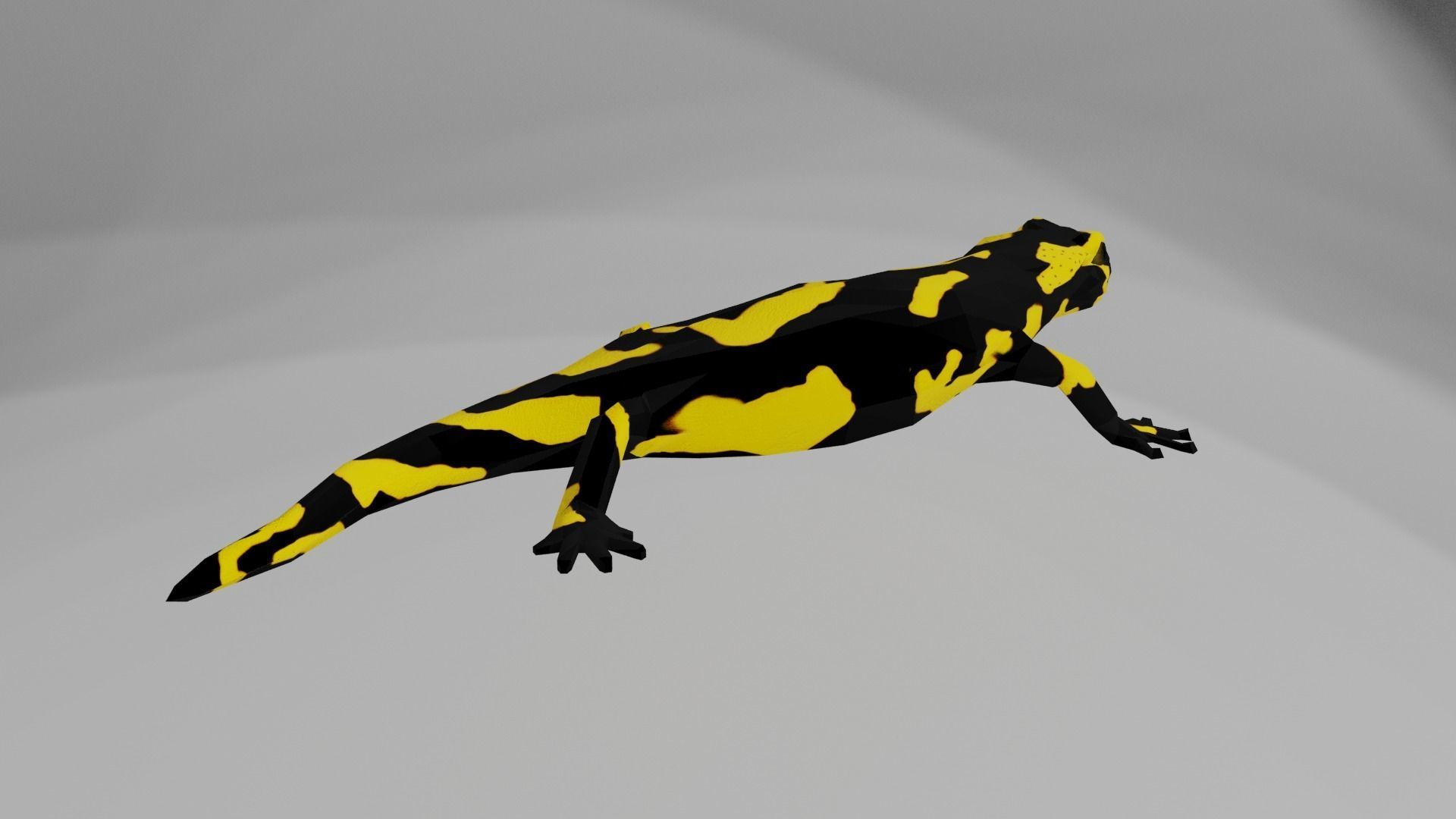 Low poly salamander lizard Low-poly 3D model_3