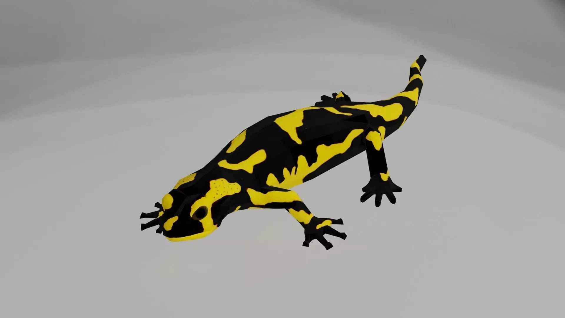 Low poly salamander lizard Low-poly 3D model_0