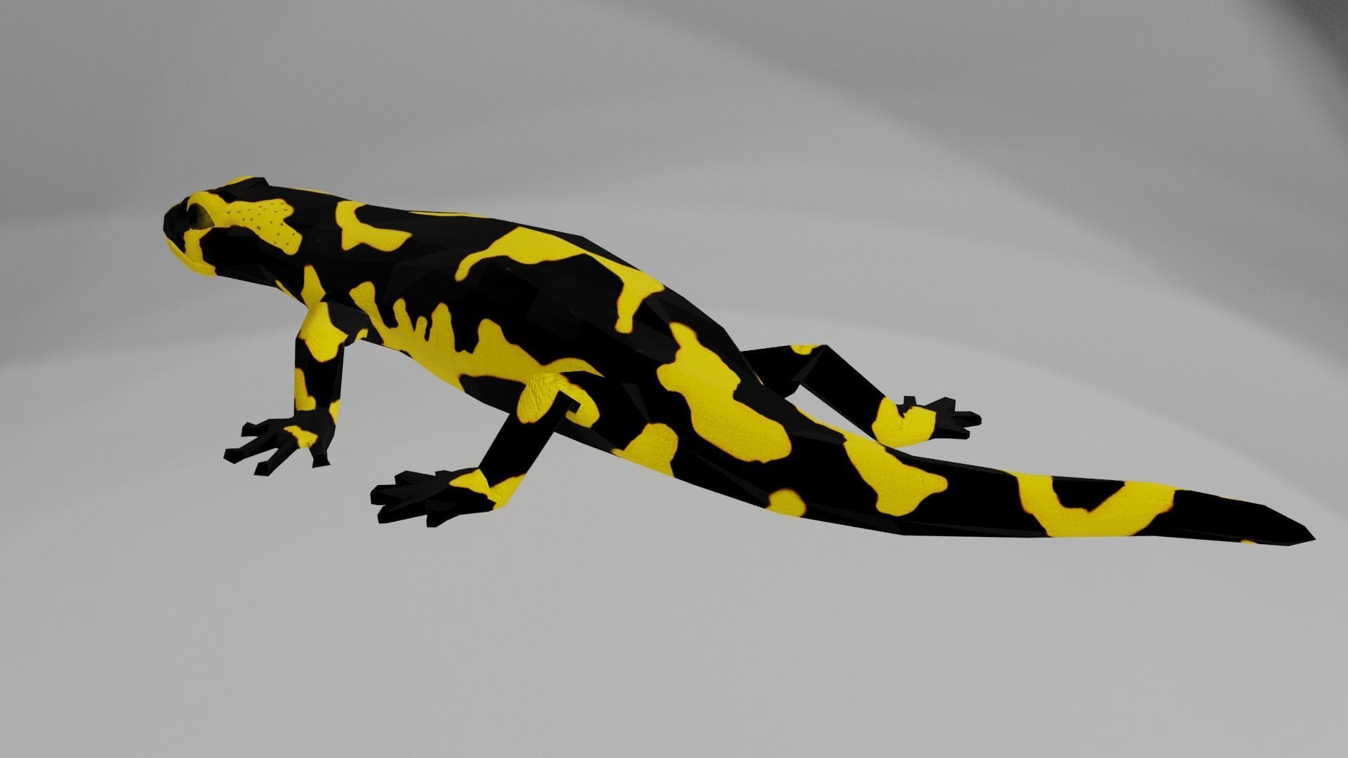 Low poly salamander lizard Low-poly 3D model_2