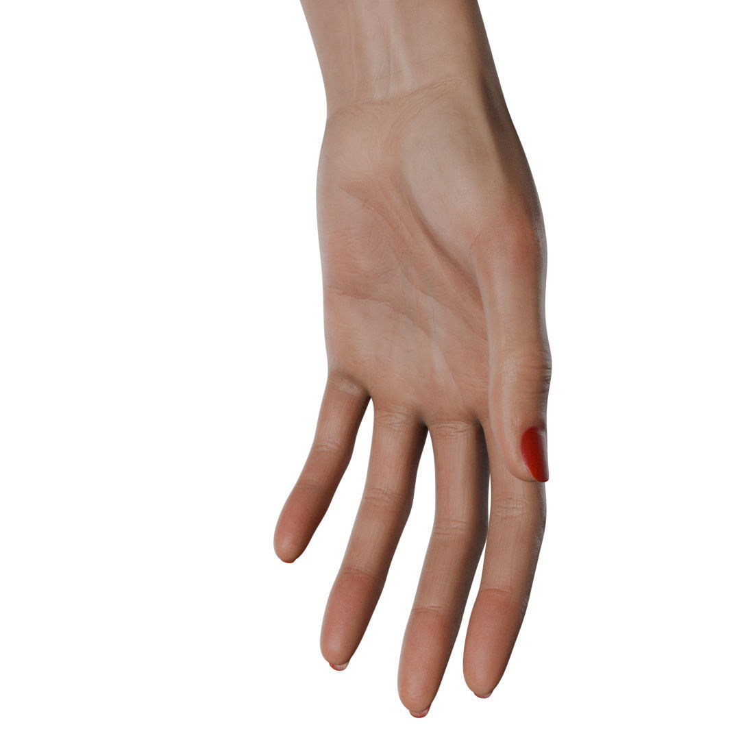 Female Hand Low-poly 3D model_31