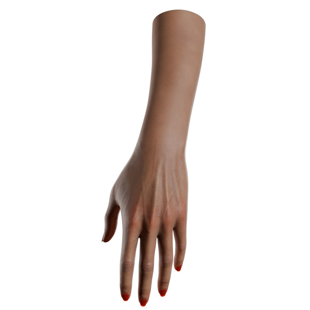 Female Hand Low-poly 3D model_11