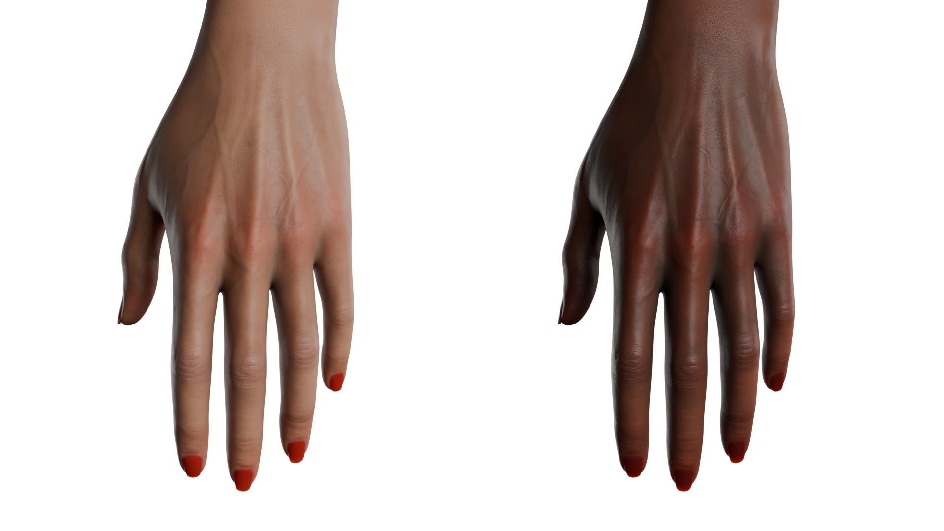Female Hand Low-poly 3D model_19
