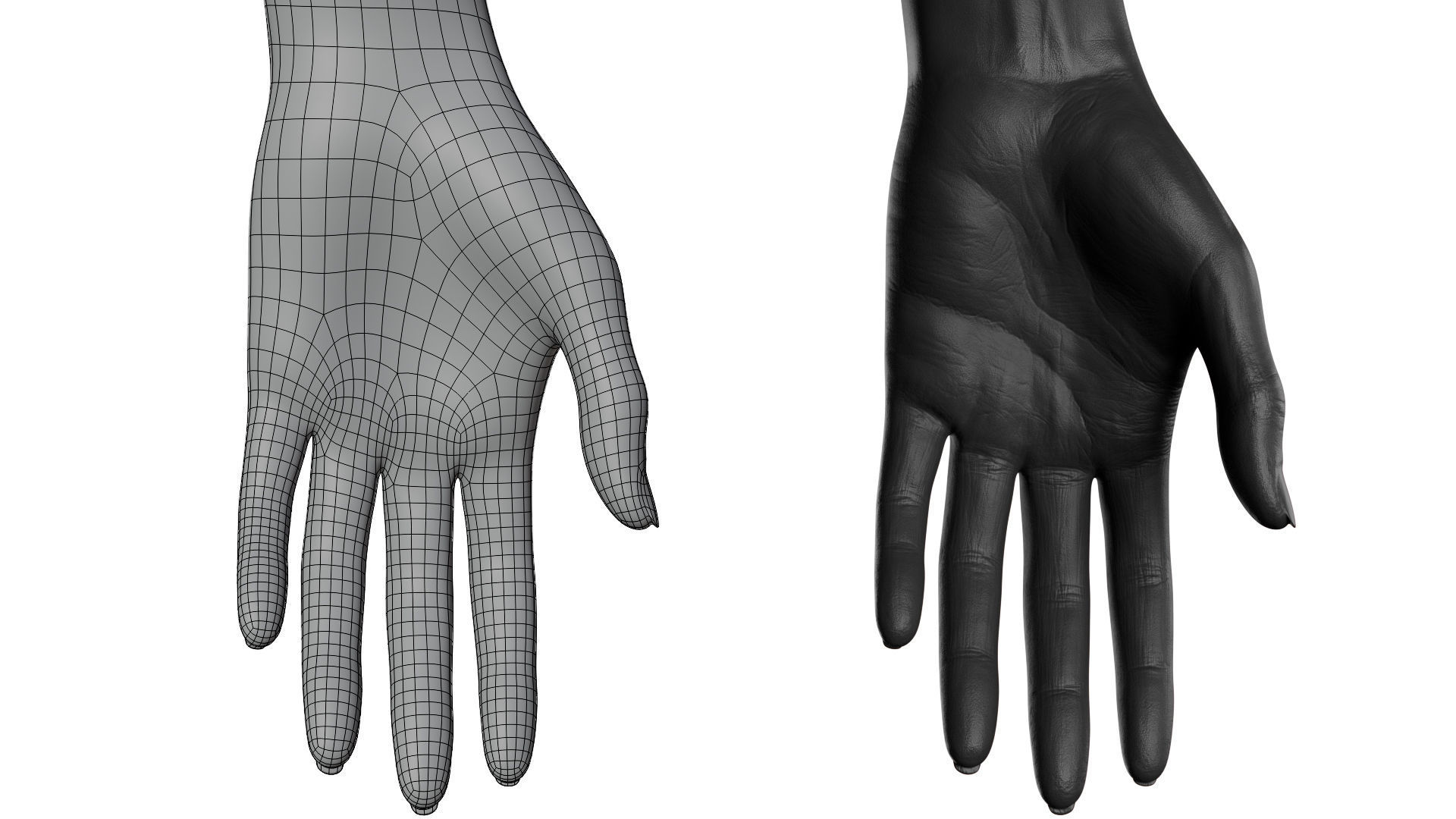 Female Hand Low-poly 3D model_22