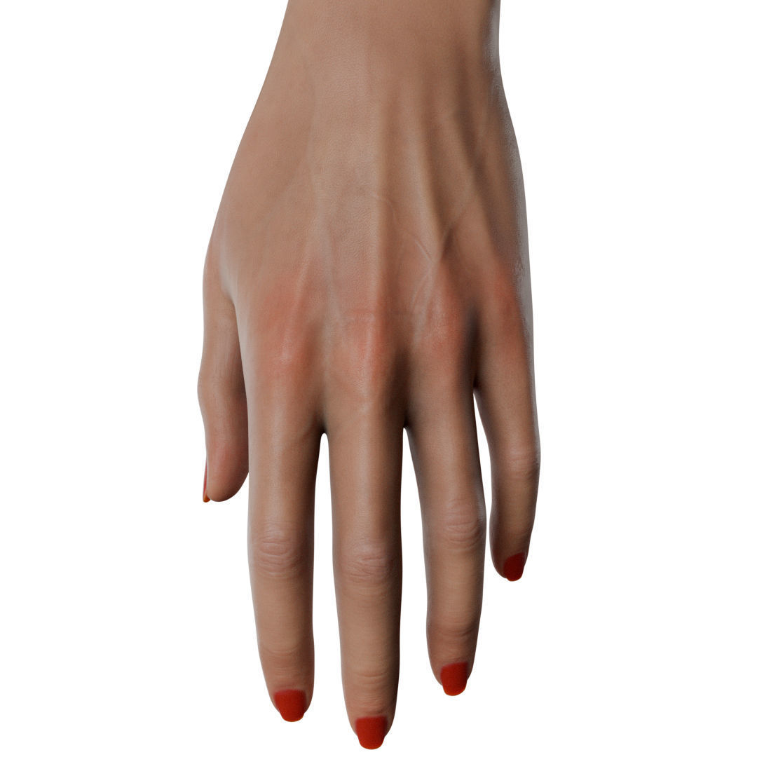 Female Hand Low-poly 3D model_43